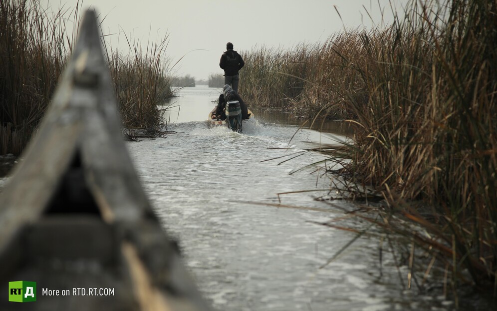 Iraqi marshland ecological threat